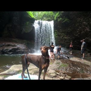 Meet your Posher, Erin